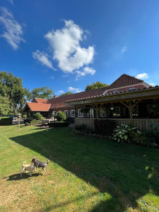Familiehuis Boysen Bed&Breakfast Ribe Luaran gambar